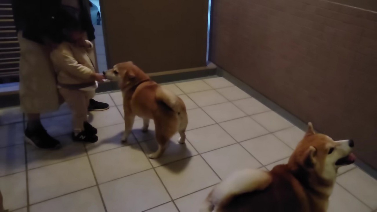 大喜びの兄姉でした♡