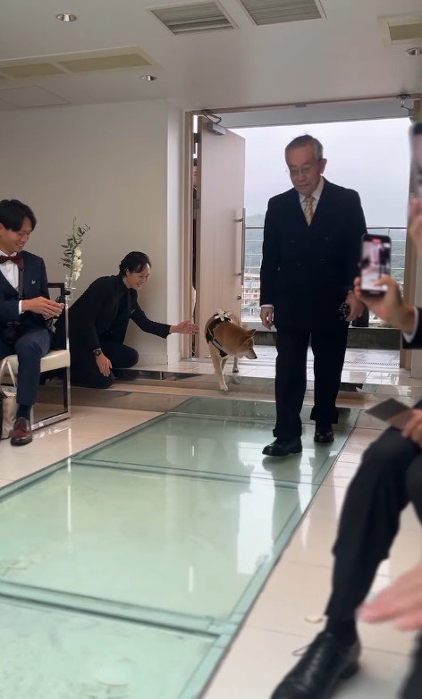 リングドッグを務めるじろー君4