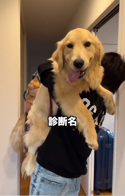 病院へ行ったちあちゃん