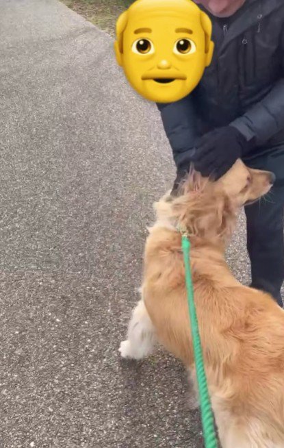 またすぐに会えるね