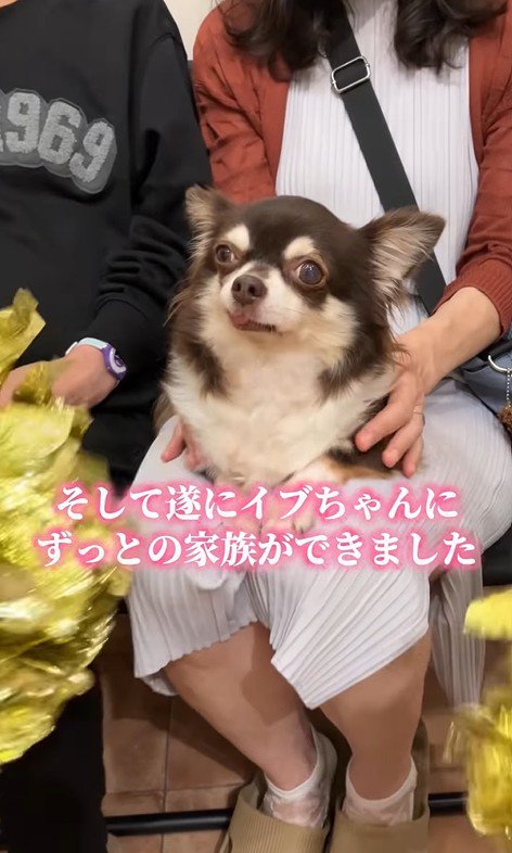 イブちゃんが幸せを掴むまで8