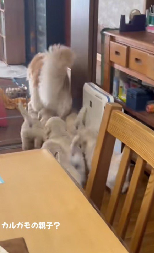 幸せな光景にホッコリ