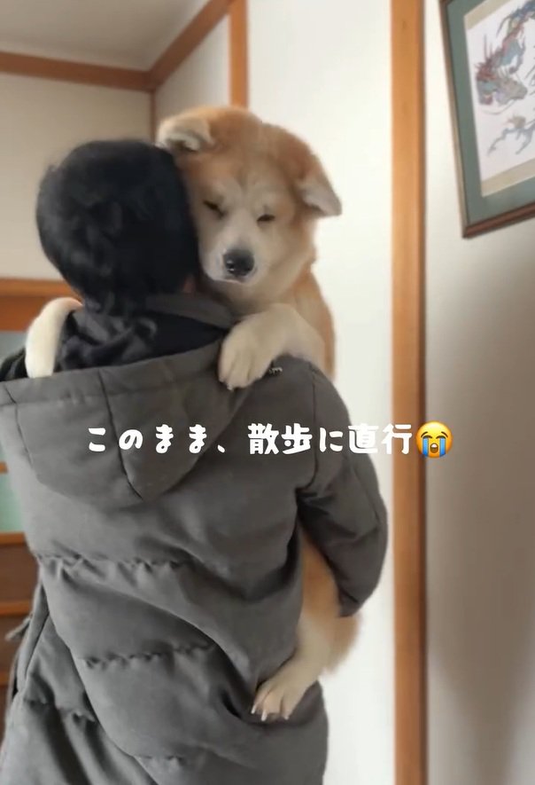 散歩をせがまれるパパ