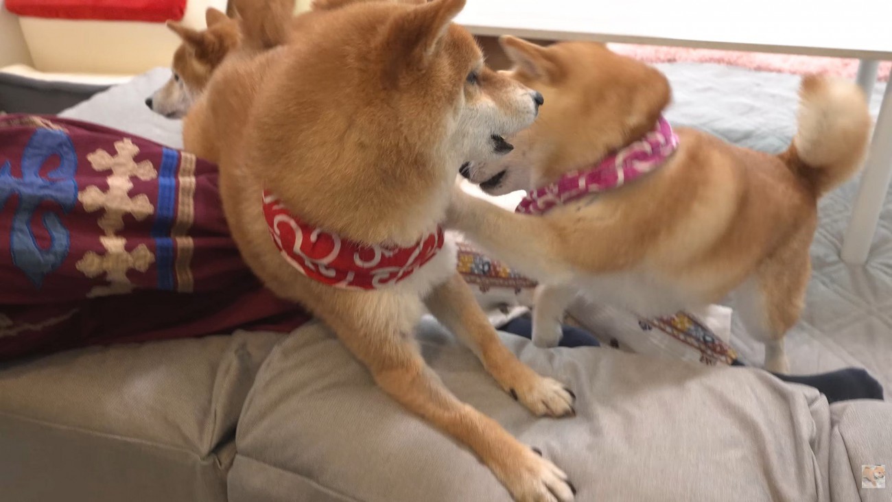 仕返しのつもりでパンチ！
