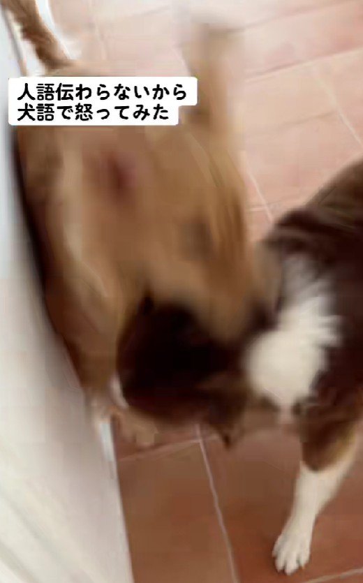 注意が耳に入らない…