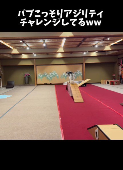 こっそりチャレンジしてる…！