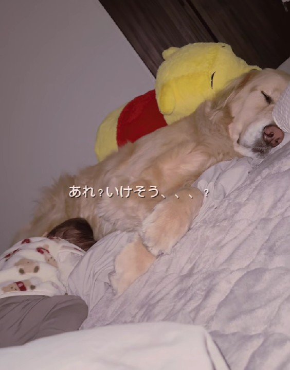 泣き止んでる…