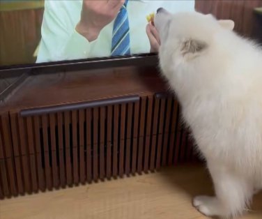 おにぎり