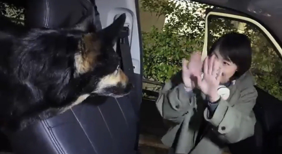 向き合う犬と人