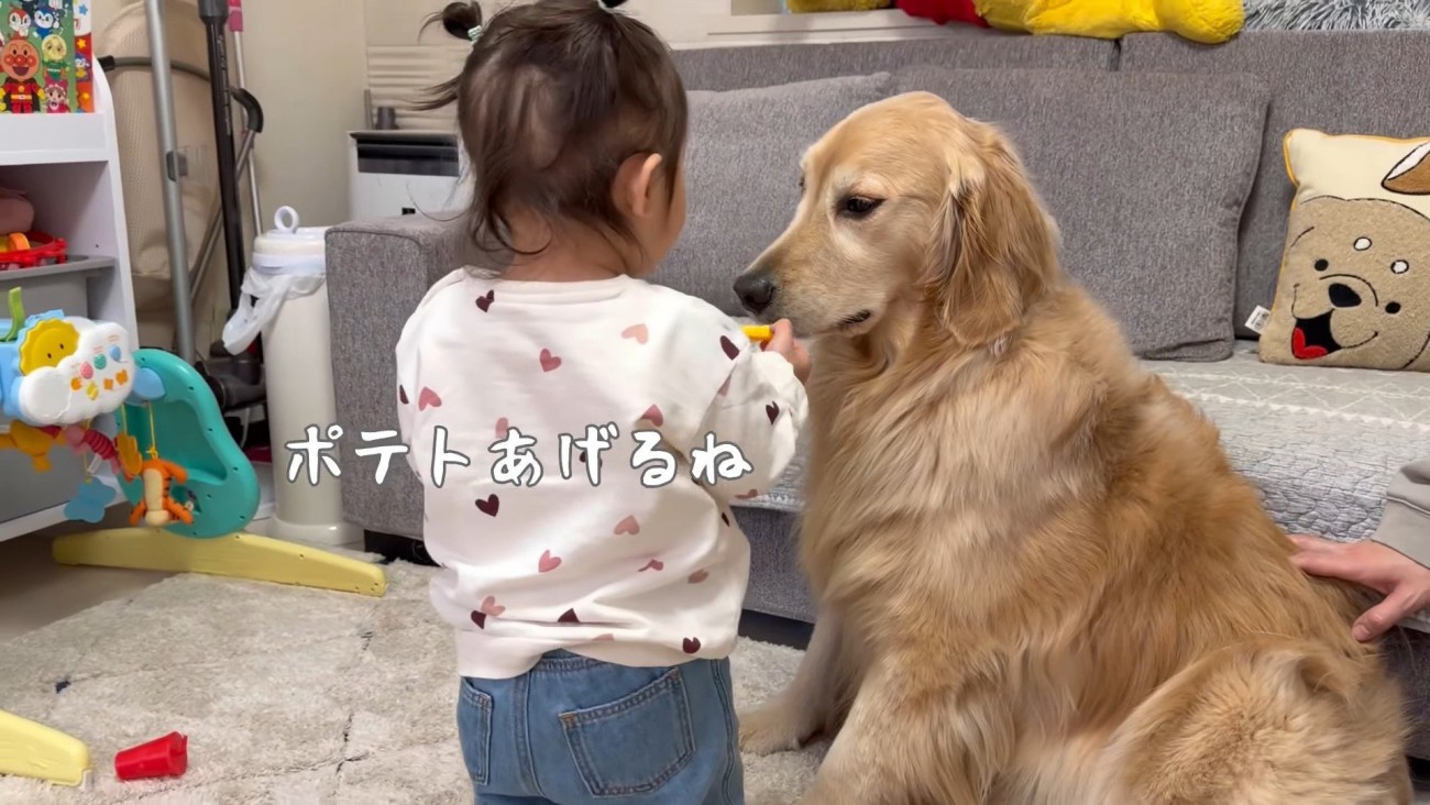 「どうぞ！！」