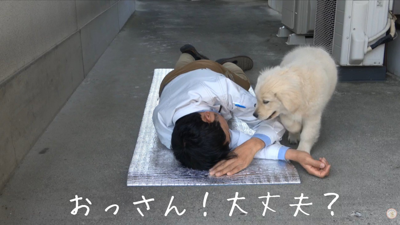 心配してくれるメイちゃん