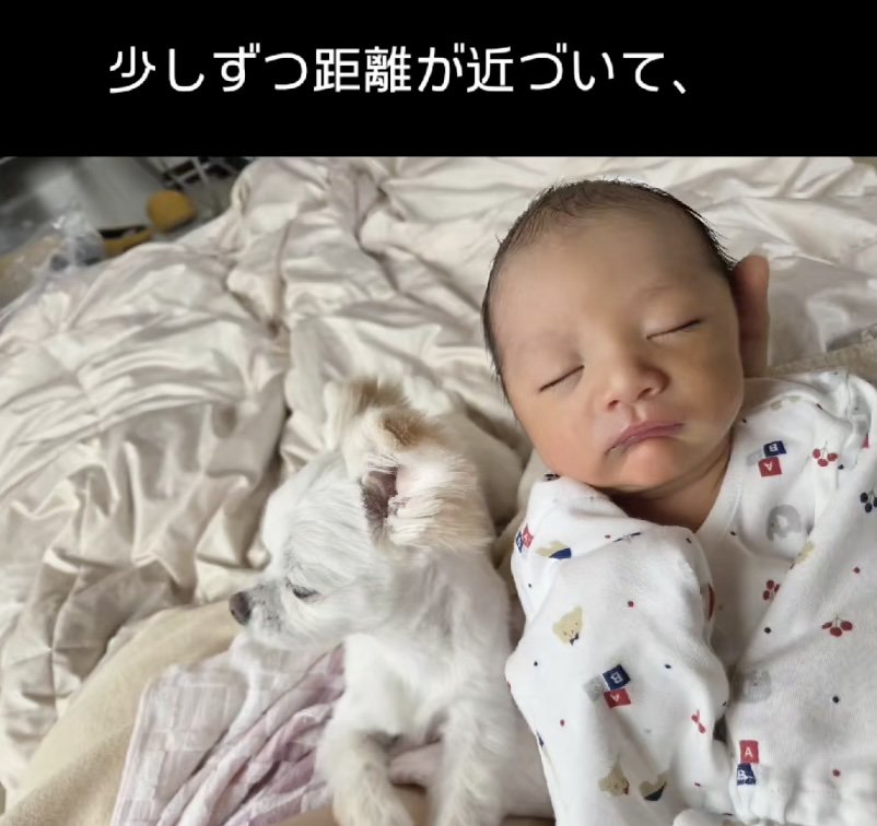 ピッタリくっついてZZZ…