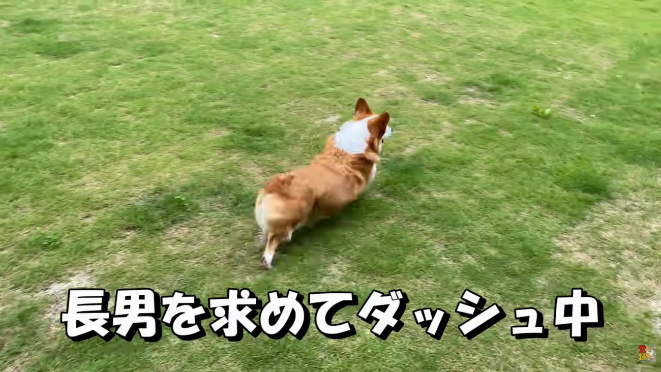 お庭に飛び出してダッシュ