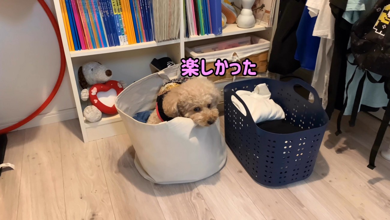 いちごちゃんも満足そう♪