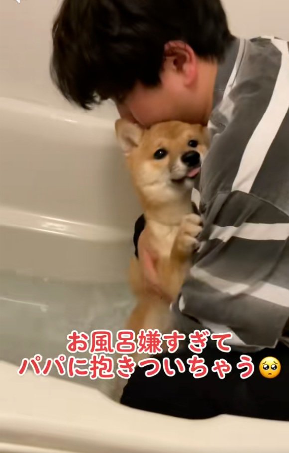 パパに抱きつくまろ君
