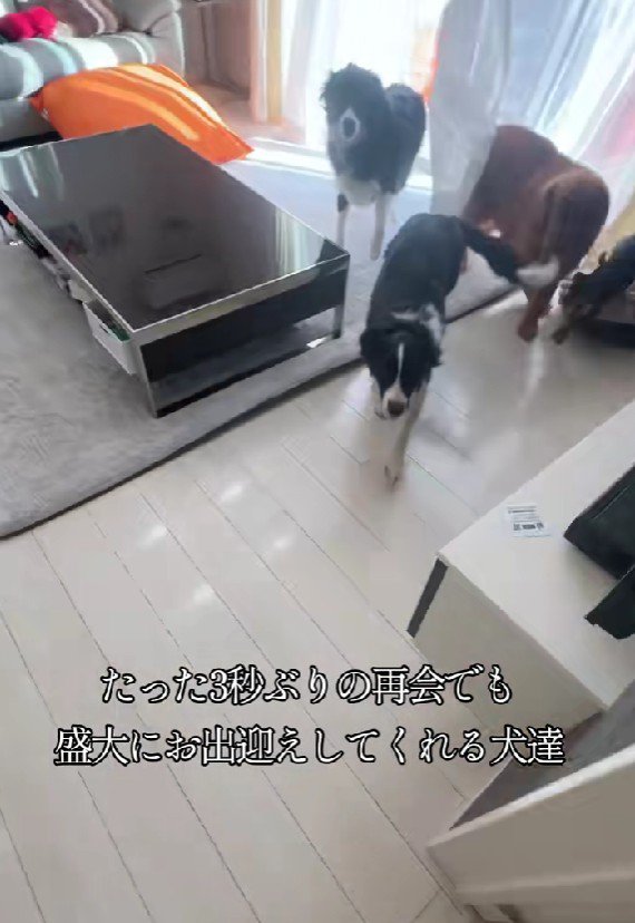 外をチェックしていた！！