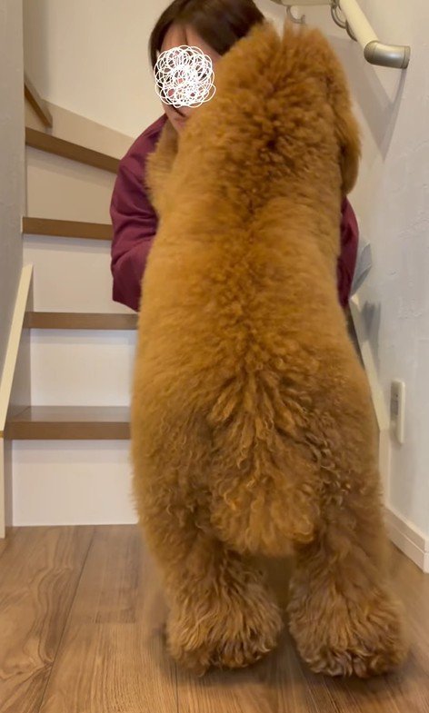 抱っこしようとしたら…