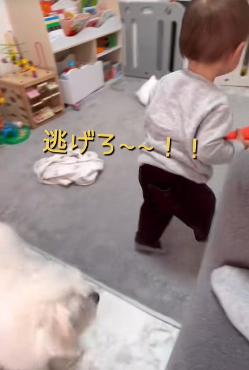 リリちゃんと赤ちゃん⑩