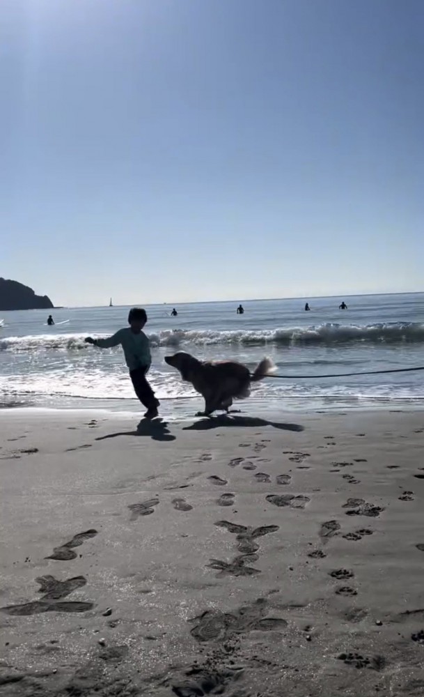 砂浜を一緒に走る犬と人