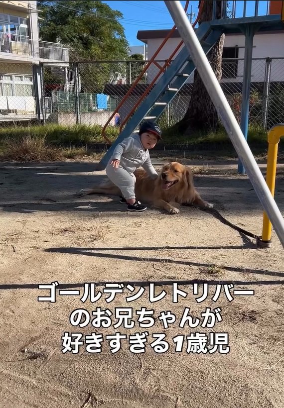 ママを見る息子さん