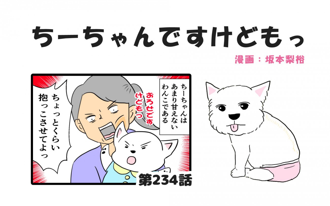 ちーちゃんですけどもっ【第234話】「ちーちゃんに好かれたい私の