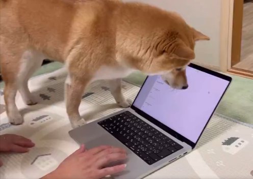 カーソル