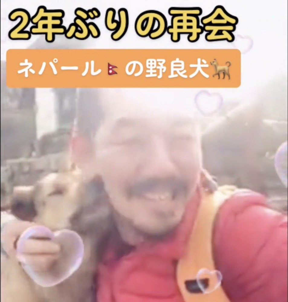 顔を寄せ合う人と犬