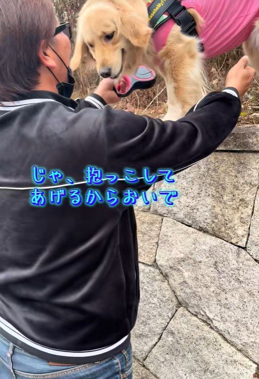 お父さんが抱っこしてくれることに