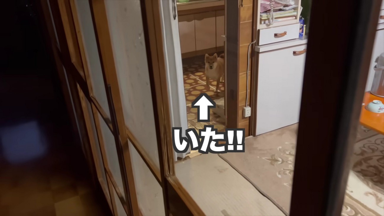 外出先から戻ってきた