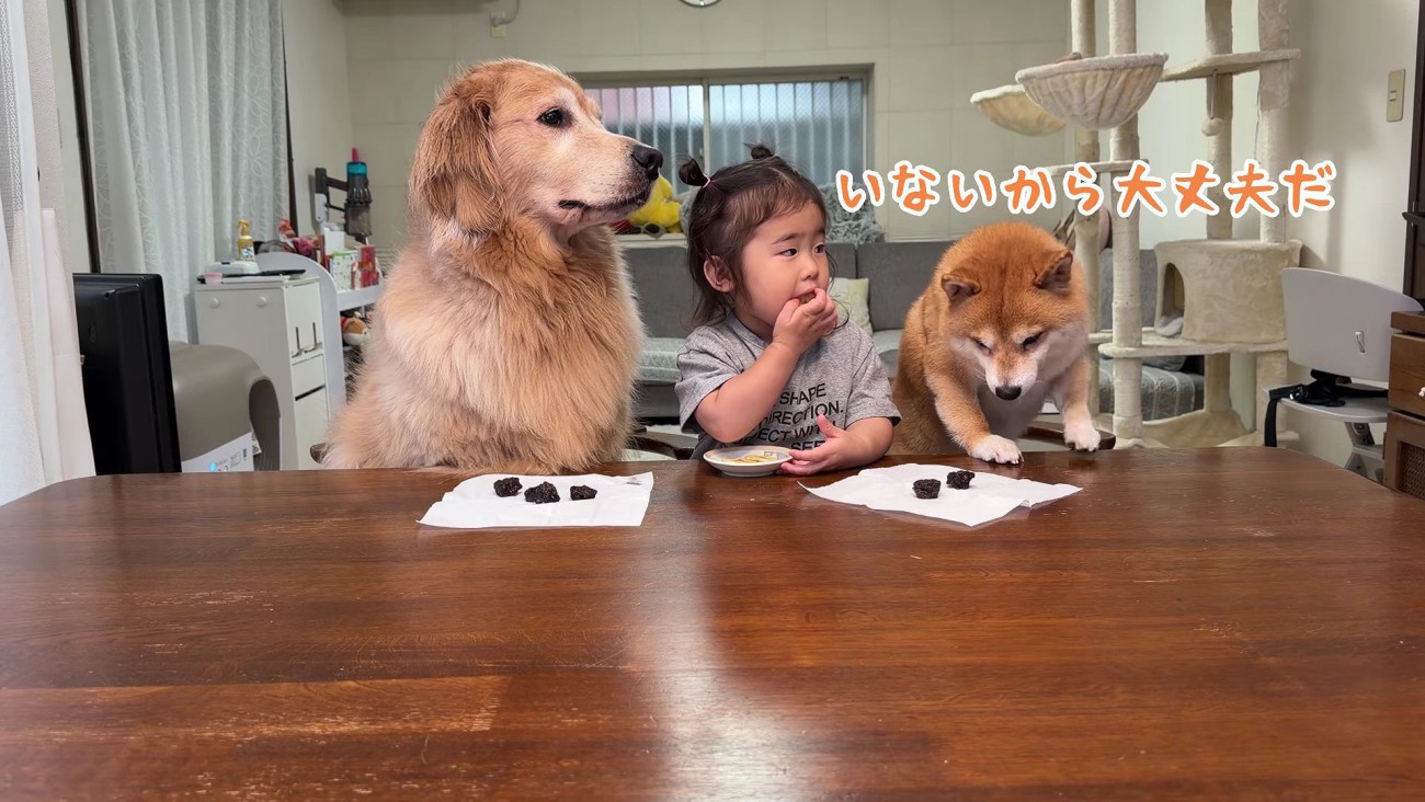 さっそくおやつを咥えるうにくん