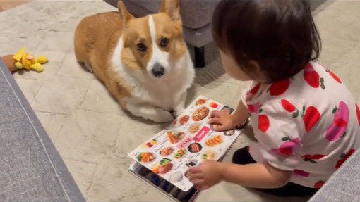 いなり君に読み聞かせをする女の子3