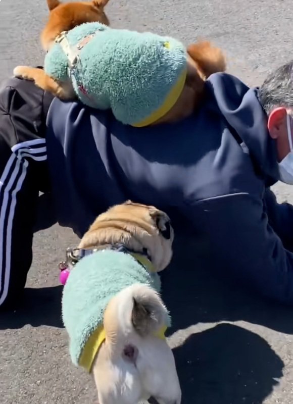 立ち上がろうとするお父さん