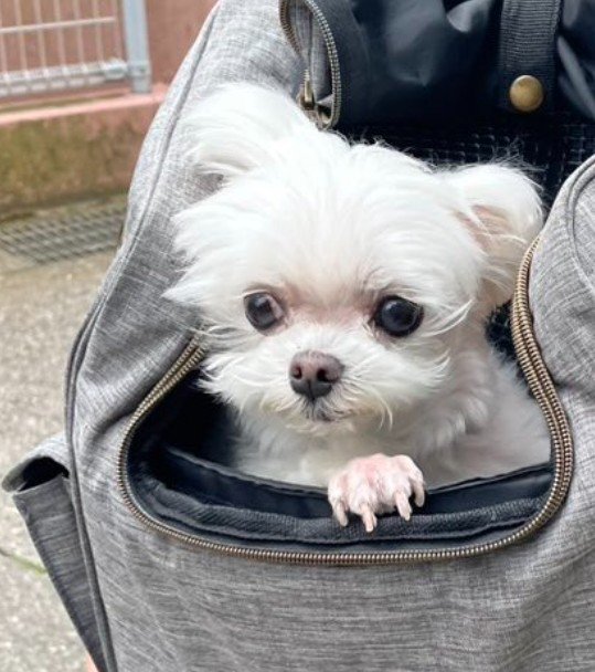虚無顔に変貌！？