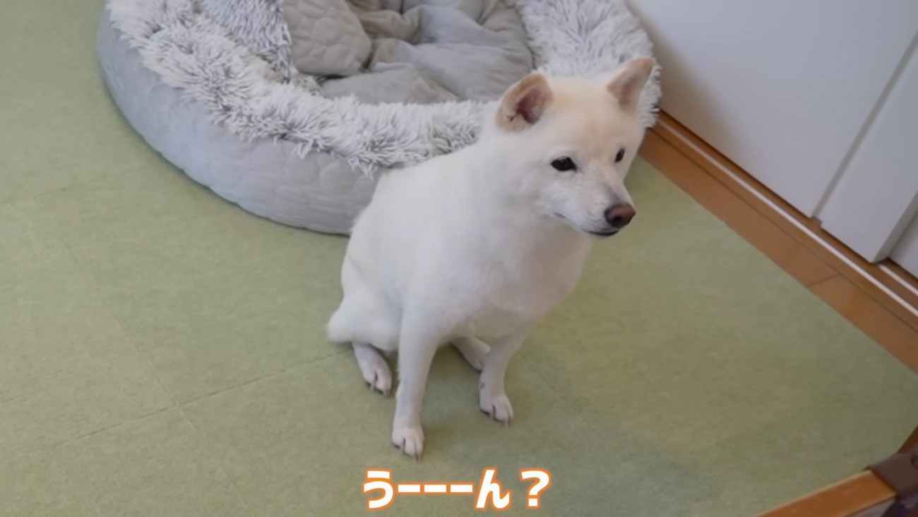 「うーん」