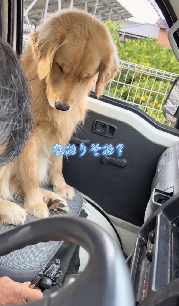 うつむきながら作業の手元を見つめる犬