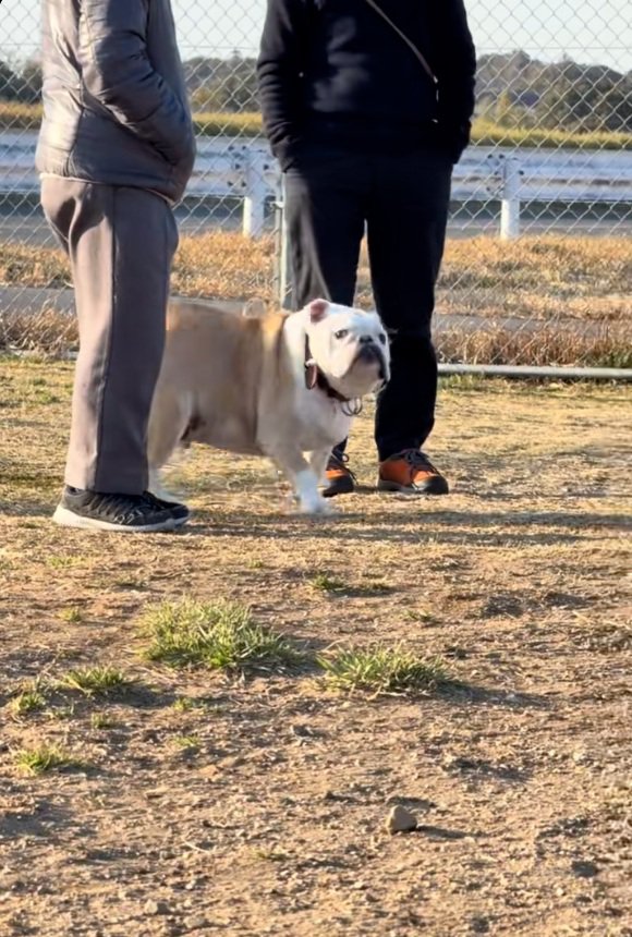 気づいたぱせり君