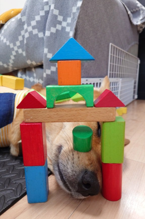 積み木のお城を通過する風太くん