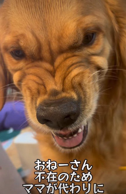 普段は怒らないけど…