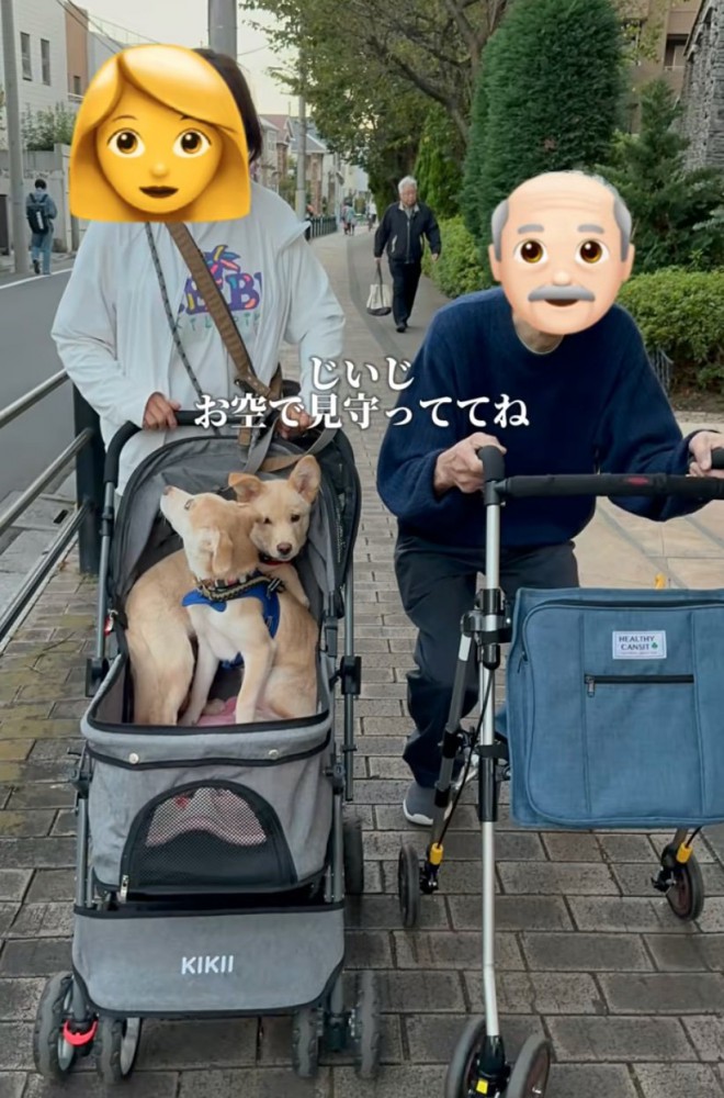 一緒に散歩する犬