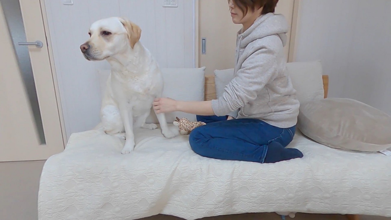 きなこちゃんとママさんの再会8