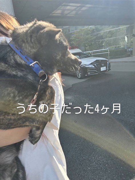 投稿者さんのもとで4ヶ月生活