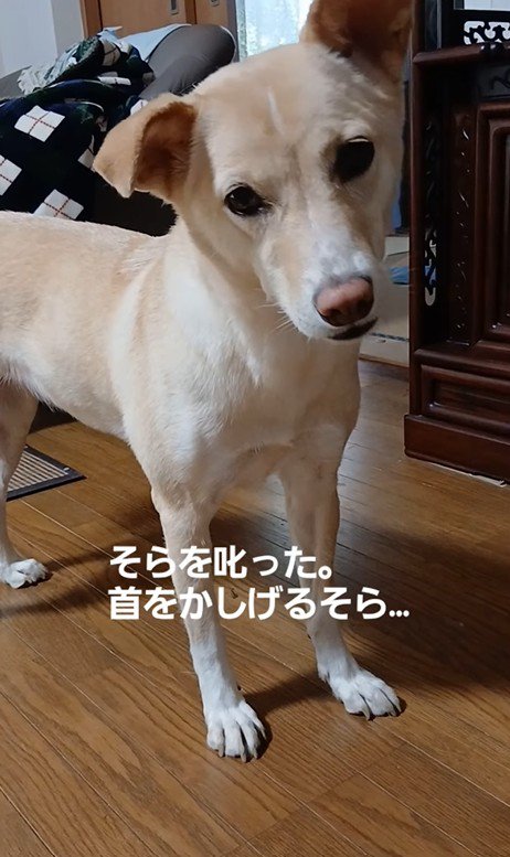 そらちゃんの変化8