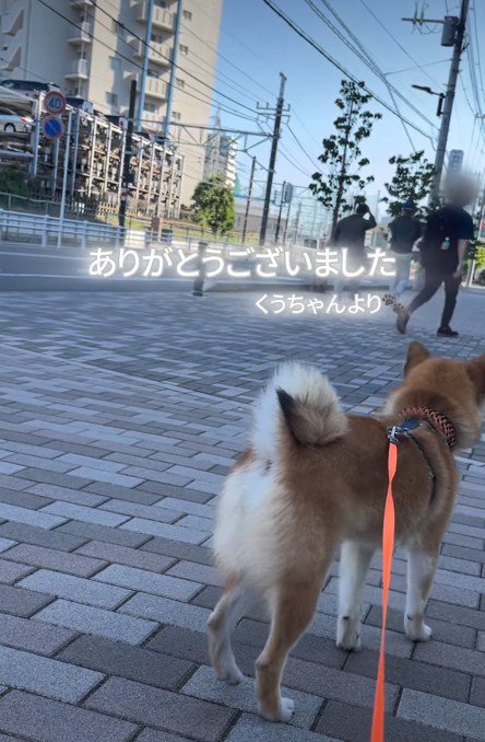 想いが通じた一瞬でした♡