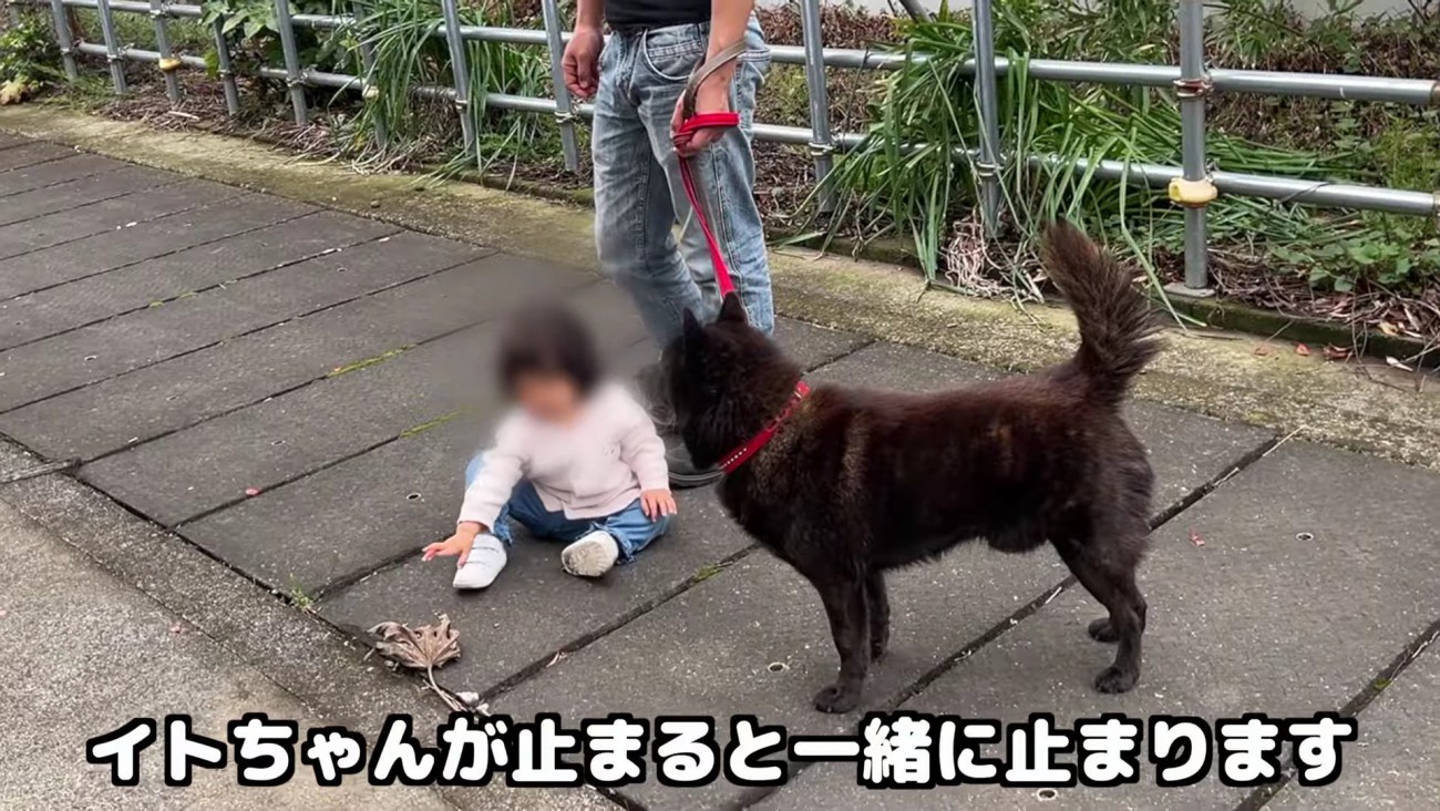 止まったら止まる…