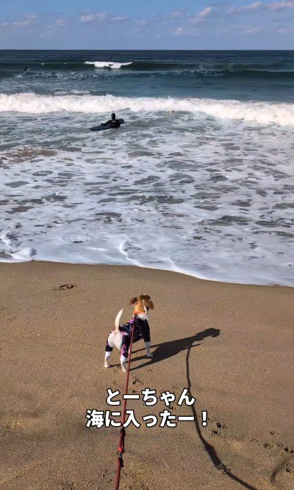 パパを見送って…