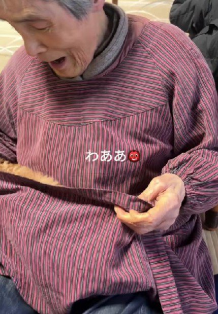 可愛いかくれんぼ♪