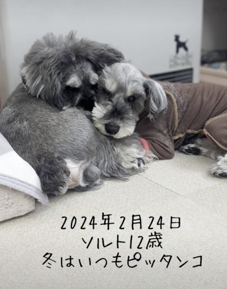 大の仲良し