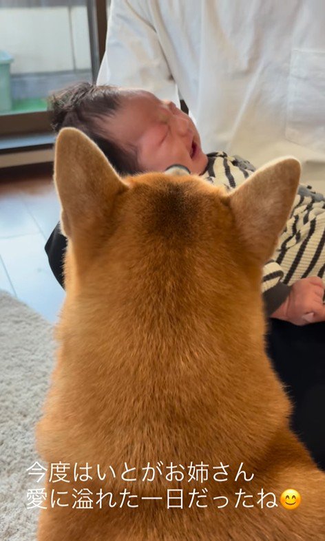 いとちゃんの成長記録⑩