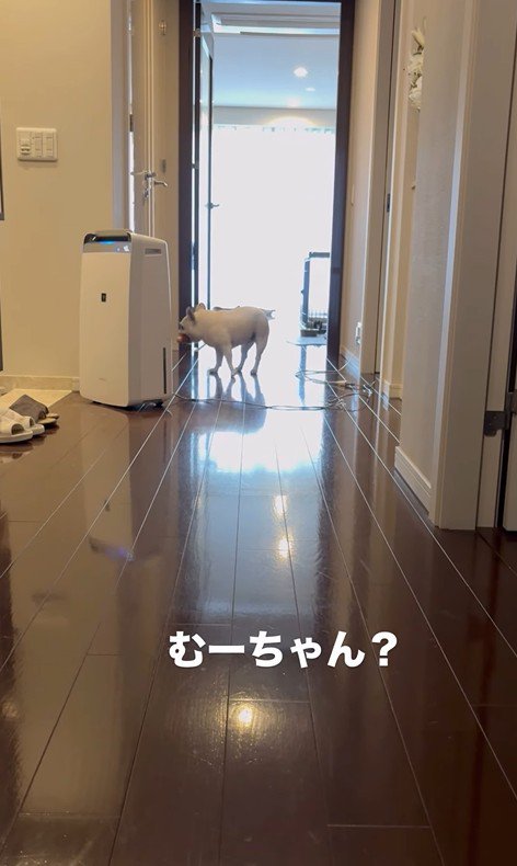 武蔵くんを呼んだ時の態度の差8