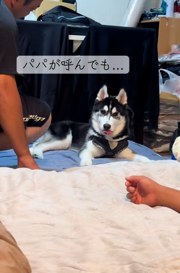 塩対応のアイスくん1